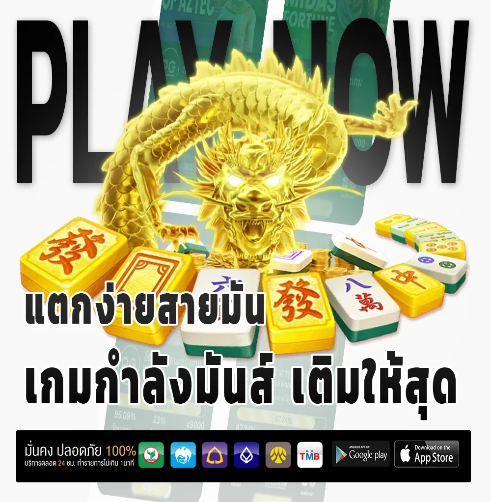chokddd365หวยออนไลน์